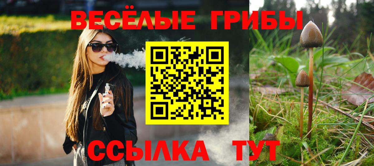 Галлюциногенные грибы Magic Shrooms  Галлюциногенные грибы мицелий  Вход с VPN  Урюпинск 